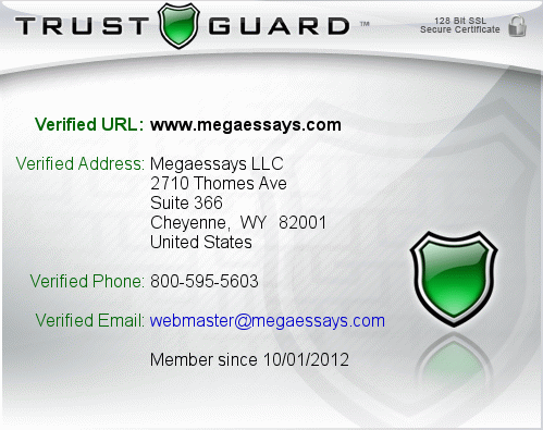 Megaessays.com